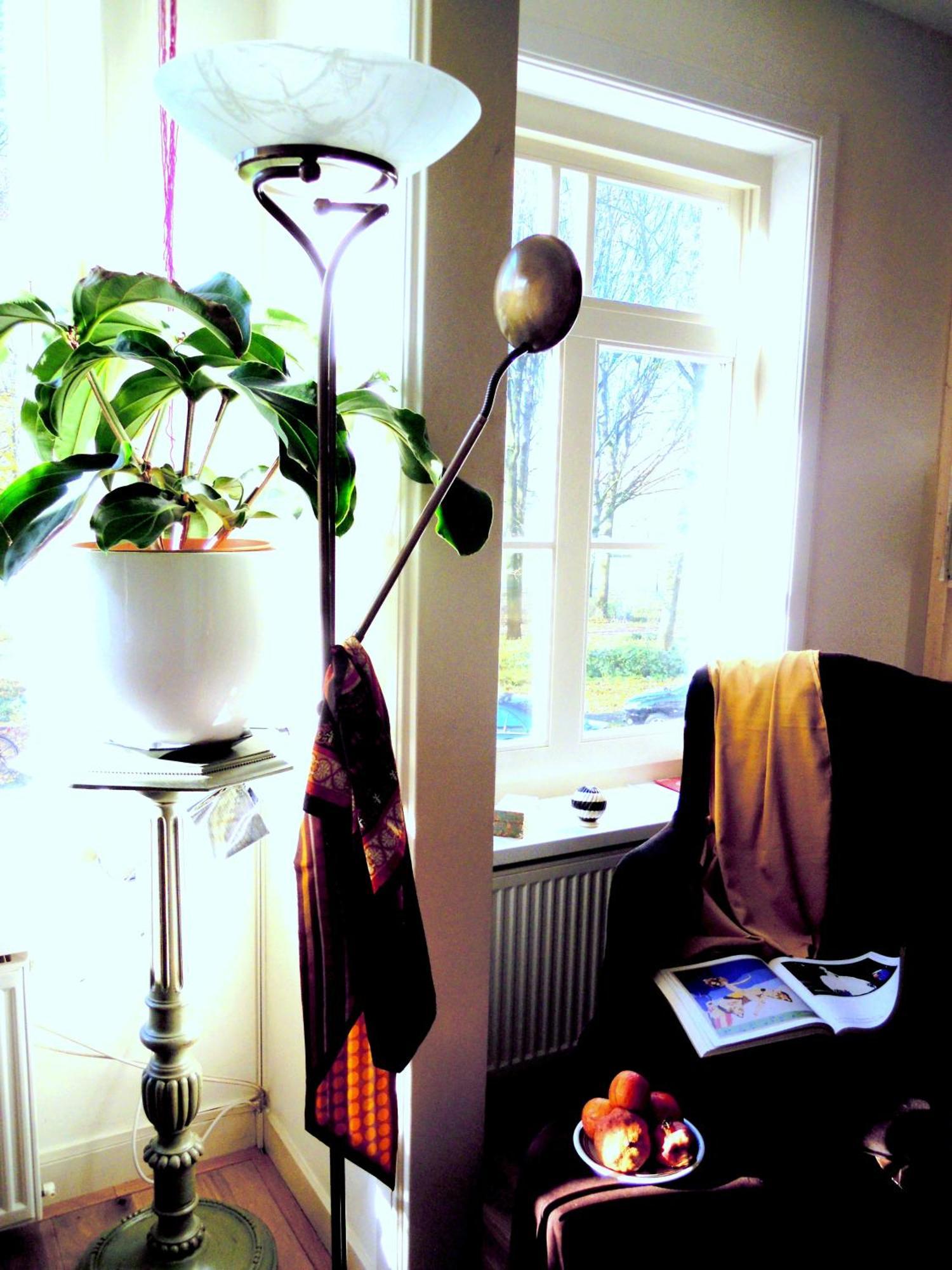 Missortelia B&B Amsterdam Buitenkant foto