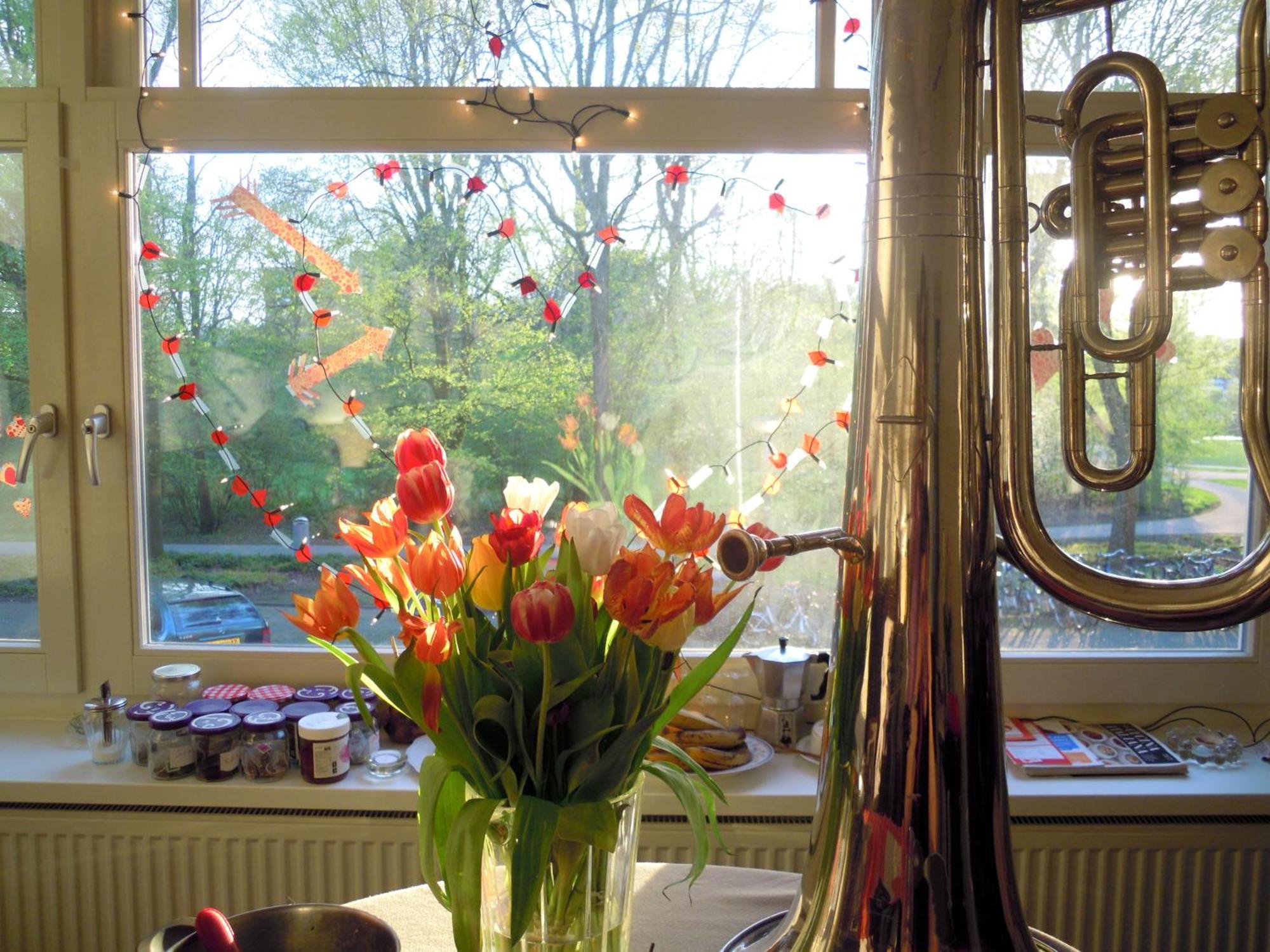 Missortelia B&B Amsterdam Buitenkant foto